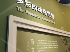 -国家自然博物馆