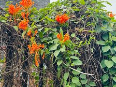 -海峡创意产业园