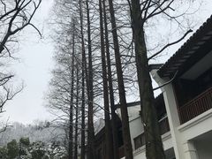 -青花餐厅(雅谷泉山庄酒店)