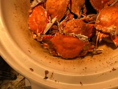 -嘉定凯悦·咖啡厅