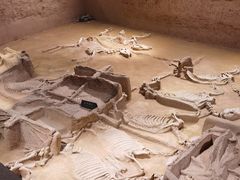 -洛阳周王城天子驾六博物馆