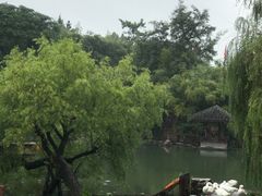 -水绘园