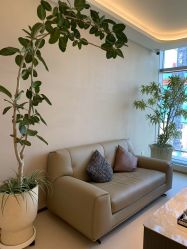 -深圳芙必优医疗美容·抗衰中心