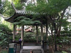 -华山儿童公园