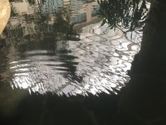 -顺景温泉