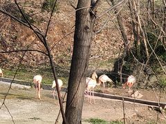 -合肥野生动物园