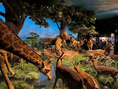 -国家自然博物馆