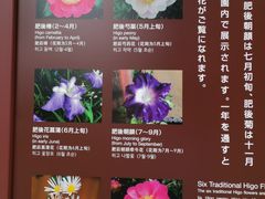 -水前寺成趣园