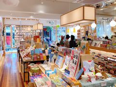 零售区-猫的天空之城概念书店(束河店)