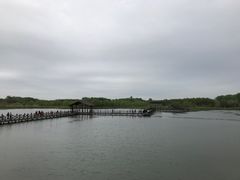 -溱湖国家湿地公园