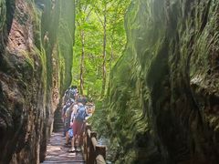 -牛背梁国家森林公园