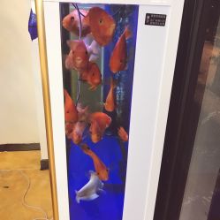 -蕾特恩祛痘•皮肤管理