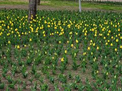 -长春公园(普阳街道)