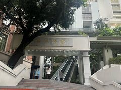 -香港大学