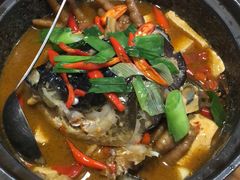 -7017浙菜•建德味(中财店)