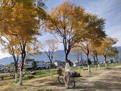 -翠田Green Field Kitchen