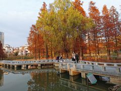 -白塘生态植物园