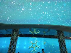 -瑞德姆美人鱼海底演艺主题餐厅(亚龙湾店)