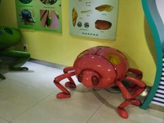 -上海昆虫博物馆