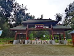 -大京沙滩