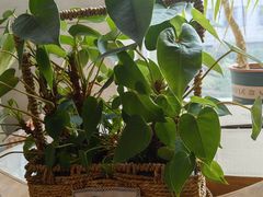 -沐春秋茶书院·茶室.茶馆.商务包房(知春路店)