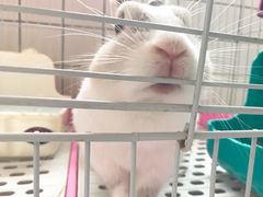 -1点点(汇海广场店)