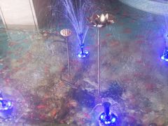 -水晶之星洗浴温泉汗蒸