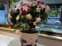 -汇龙潭