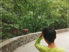 -北京上方山国家森林公园