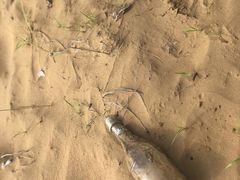 景点-银肯塔拉沙漠生态旅游景区