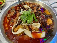肥肠鸡（小锅）-晓彭肥肠鸡·泡椒鸡火锅(水木天地店)