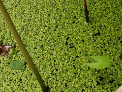 -南京市江宁方山