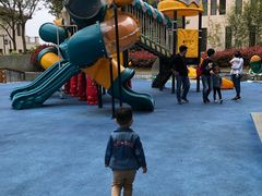 -上海崇明金茂凯悦酒店