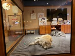 -大江户·温泉洗浴(浑南店)