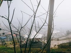 -美心红酒小镇游乐园