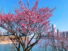 -天鹅湖体育公园