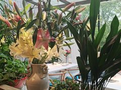 -春暖花开(西溪店)
