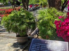 -红螺寺