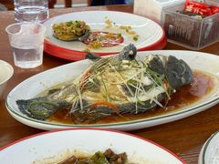 -坛南湾阿强农家乐.海鲜大排档老字号(福州地标美食店)