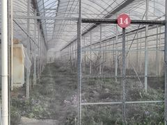 -菊园百果园