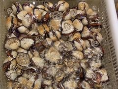 -老虎滩船说·海胆水饺·大连海鲜(老虎滩店)