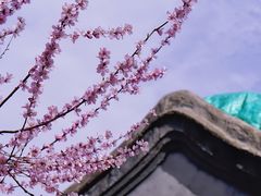 -三里河公园