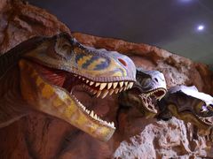 -中国西峡恐龙遗迹园