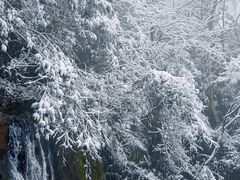 -藏龙百瀑风景区