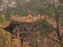 -北京凤凰岭