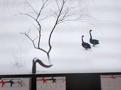 -BLACKSWAN黑天鹅(环球店)