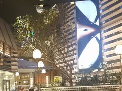 -桂满陇·海市蜃楼·黑金(国金店)