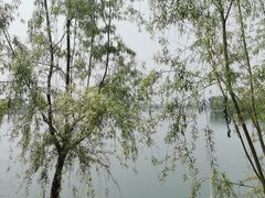 -三岔湖高家庄农家乐烤全羊柴火鸡翘壳鱼(三岔湖店)