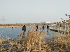 -丁香湖公园