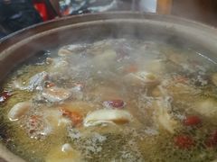 -威邵鸡煲(西华路总店)